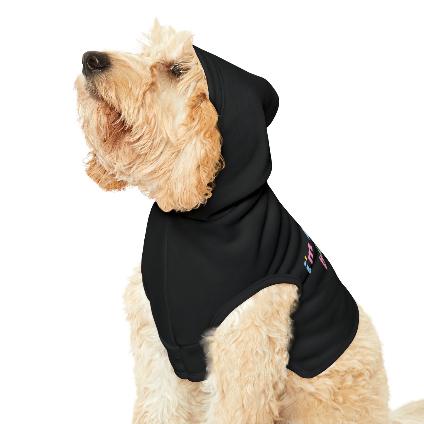 Pet Hoodie - 'I'm Kind of a Big Deal' - Cozy Dog Apparel