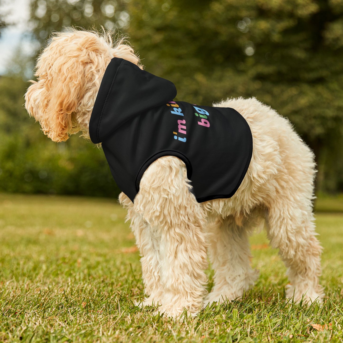 Pet Hoodie - 'I'm Kind of a Big Deal' - Cozy Dog Apparel